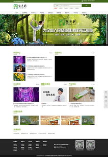 北京網站設計三版 從視覺到功能的全面進化之路